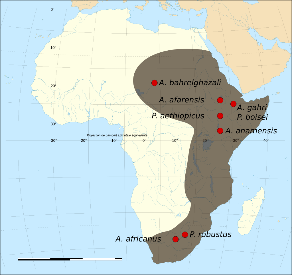 map showing locations of hominid fossil finds in Africa