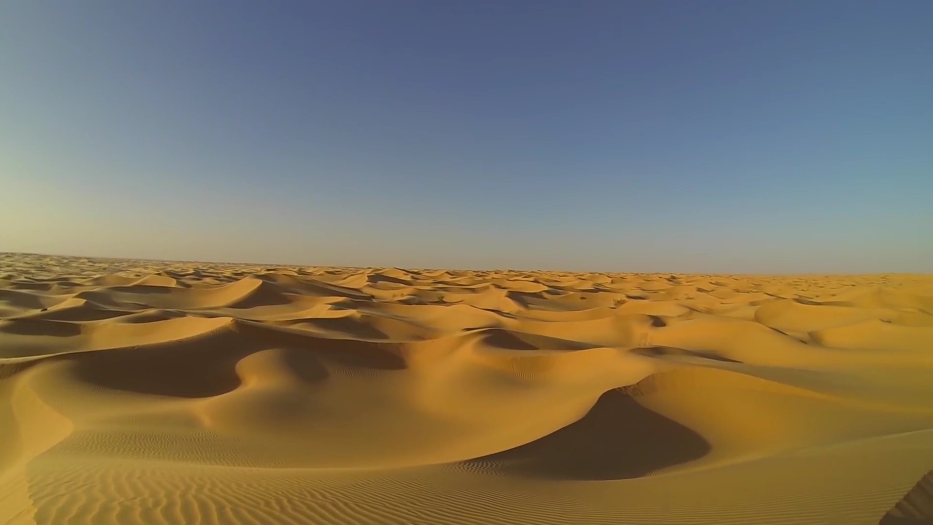 sand dunes in the Sahara Desert beneath a blue sky