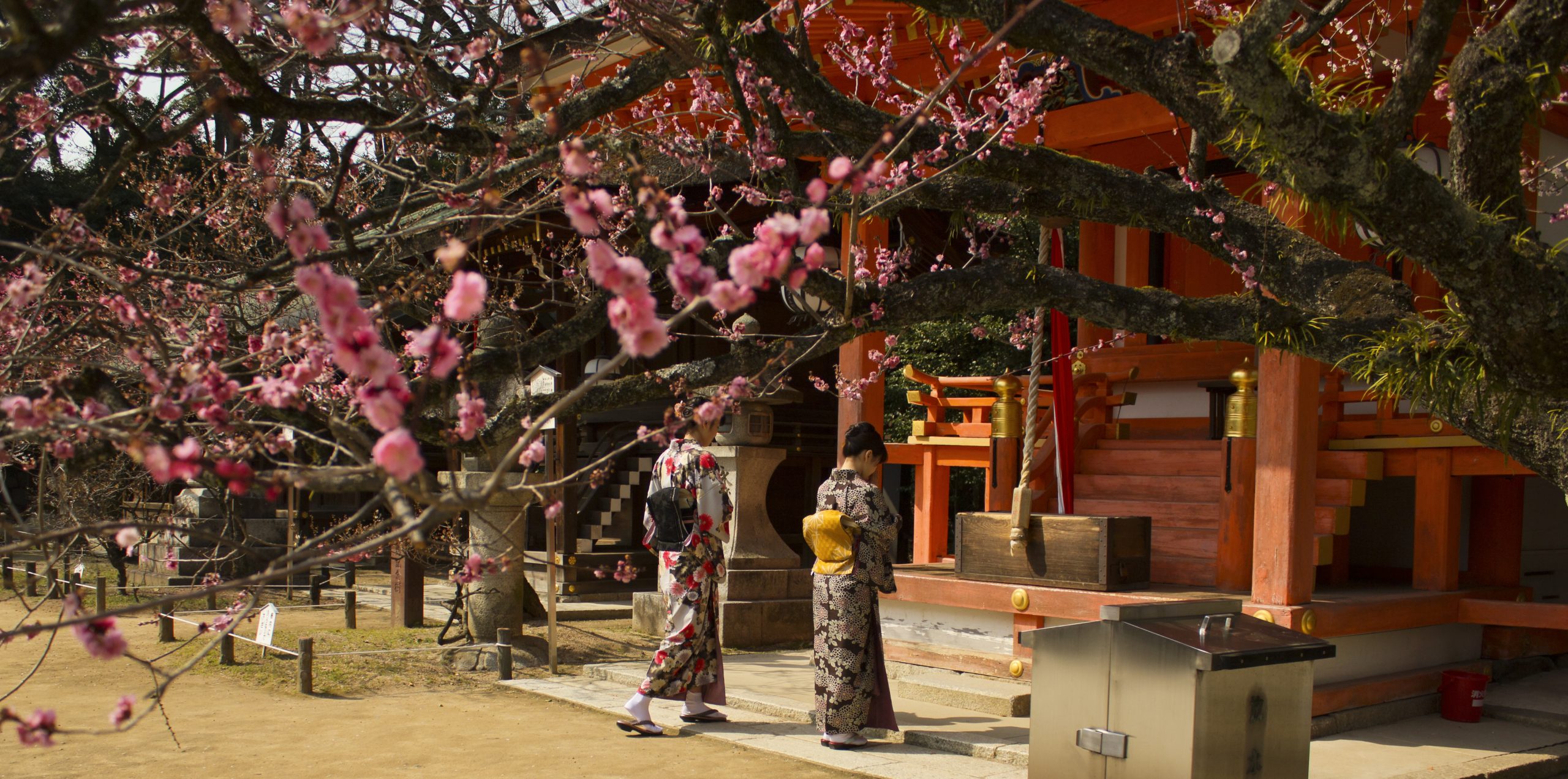 Two women in traditional Japanese dress worship at a shrine