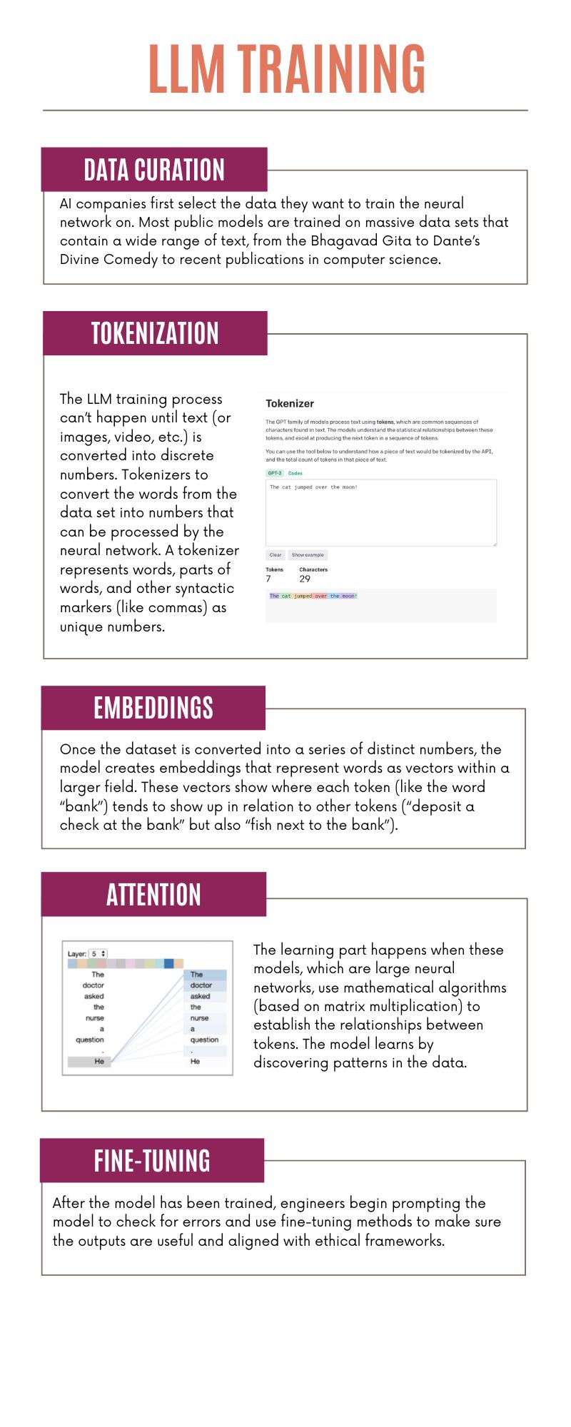 Data Curation: AI companies first select the data they want to train the neural network on. Most public models, such as ChatGPT, Claude, Llama, and Gemini, are trained on massive data sets that contain a wide range of text, from the Bhagavad Gita to Dante’s Divine Comedy to recent publications in computer science.Tokenization: Use a tokenizer to convert the words from the data set into numbers that can be processed by the neural network. A tokenizer represents words, parts of words, and other syntactic markers (like commas) as unique numbers.  Create Embeddings: Once the dataset is converted into a series of distinct numbers, the model creates embeddings that represent words as distinct vectors within a larger field.  Attention Mechanisms: The “learning” part happens when these models, which are large neural networks, use mathematical algorithms (based on matrix multiplication) to establish the relationships between tokens. The model “learns” by discovering patterns in the data.  Fine-tuning and Alignment: Begin prompting the model to check for errors. Use fine-tuning methods to make sure the outputs are useful.