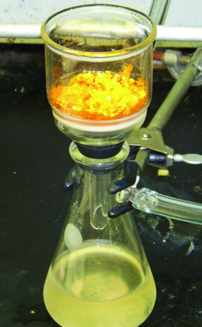 A photo is shown of a flask and funnel used for filtration. The flask contains a slightly opaque liquid filtrate with a slight yellow tint. A funnel, which contains a bright yellow and orange material, sits atop the flask. The flask is held in place by a clamp and is connected to a vacuum line. The connection between the funnel and flask is sealed with a rubber bung or gasket.