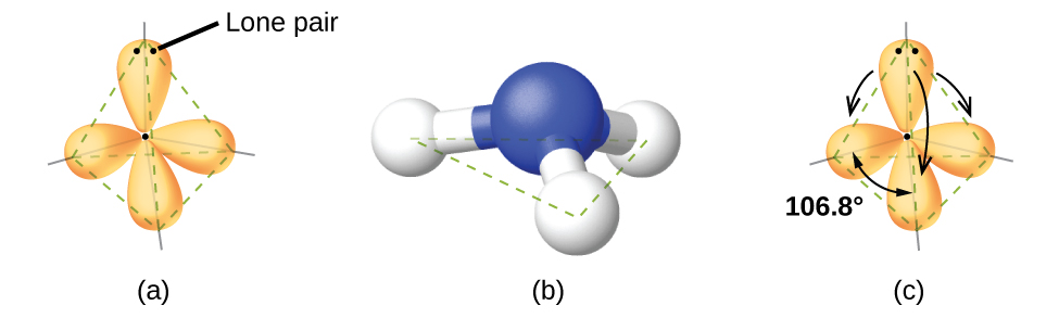 Three images are shown and labeled, “a,” “b,” and “c.” Image a shows a nitrogen atom single bonded to three hydrogen atoms. There are four oval-shaped orbs that surround each hydrogen and one facing away from the rest of the molecule. These orbs are located in a tetrahedral arrangement. Image b shows a ball-and-stick model of the nitrogen single bonded to the three hydrogen atoms. Image c is the same as image a, but there are four curved, double headed arrows that circle the molecule and are labeled, “106.8 degrees.”
