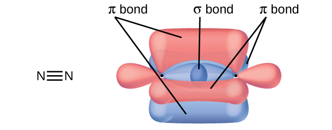 Two nitrogen atoms are shown both in a Lewis structure and as a diagram. The Lewis structure depicts the two nitrogen atoms bonded by a triple bond. The diagram shows two nitrogen atoms and their three peanut-shaped p-orbitals. One of the orbitals lies horizontally and overlaps between the two nuclei. It is labeled, “sigma bond.” The other two lie vertically and in the z-plane of the page. They overlap above and below and into and out of the page in relation to the nuclei. They are each labeled, “pi bond.”