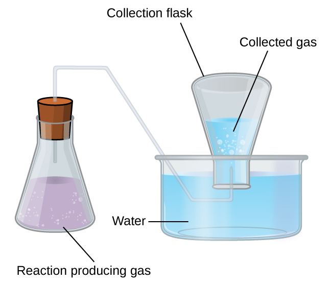 This figure shows a diagram of equipment used for collecting a gas over water. To the left is an Erlenmeyer flask. It is approximately two thirds full of a lavender colored liquid. Bubbles are evident in the liquid. The label “Reaction Producing Gas” appears below the flask. A line segment connects this label to the liquid in the flask. The flask has a stopper in it through which a single glass tube extends from the open region above the liquid in the flask up, through the stopper, to the right, then angles down into a pan that is nearly full of light blue water. This tube again extends right once it is well beneath the water’s surface. It then bends up into an inverted flask which is labeled “Collection Flask.” This collection flask is positioned with its mouth beneath the surface of the light blue water and appears approximately half full. Bubbles are evident in the water in the inverted flask. The open space above the water in the inverted flask is labeled “collected gas.”