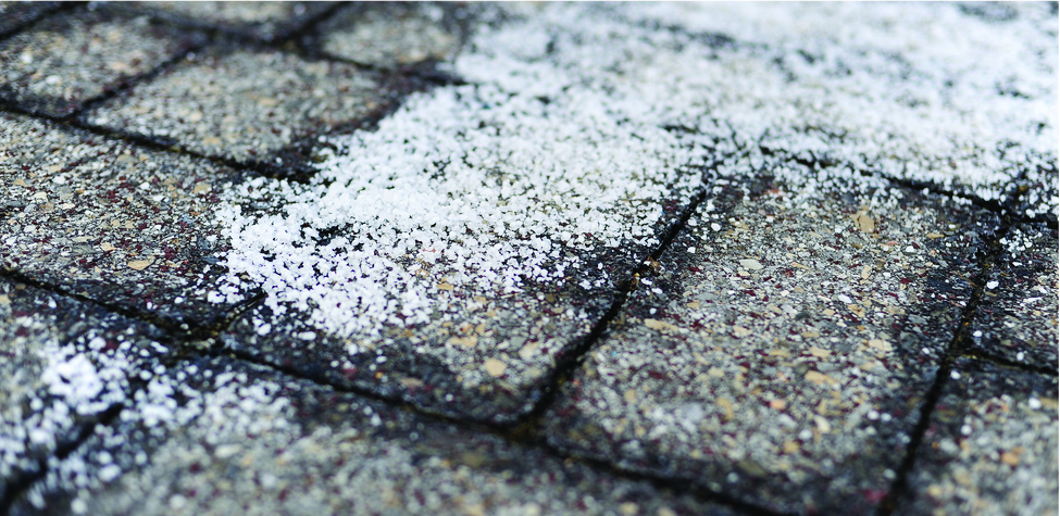 This is a photo of damp brick pavement on which a white crystalline material has been spread.