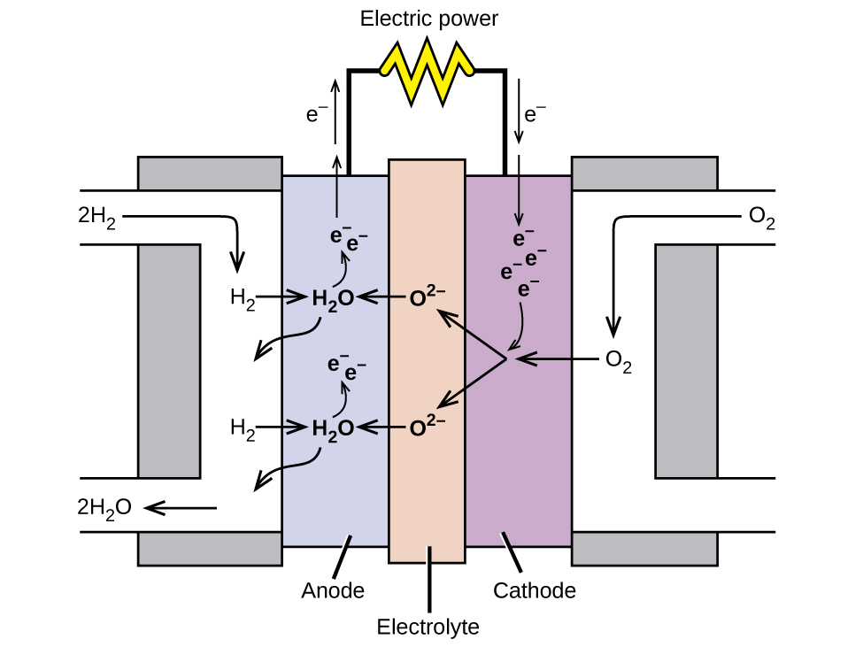 A diagram is shown of a hydrogen fuel cell. At the center is a narrow vertical rectangle which is shaded tan and labeled “Electrolyte.” To the right is a slightly wider and shorter purple rectangle which is labeled “Cathode.” To the left is a rectangle of the same size which is labeled “Anode.” Grey rectangles that are slightly wider and longer are at the right and left sides, attached to the purple and blue rectangles. On the right side, a white region overlays the grey rectangle. This white region provides a pathway for O subscript 2 to enter at the upper left, move inward and along the interface with the purple region, and exit to the lower right. A similar pathway overlays the grey region on the left, allowing a pathway for the entry of H subscript 2 from the upper right along the interface with the blue rectangle, allowing for the exit of H subscript 2 O out to the lower left of the diagram. Black line segments extend upward from the blue and purple regions. These line segments are connected by a horizontal segment that has a yellow zig zag shape at the center. This shape is labeled “Electric power.” At the left of the diagram, in the upper left white region, 2 H subscript 2 is followed by an arrow that points right and down to H subscript 2. An arrow points right into the blue region to H subscript 2 O. A curved arrow point up to e superscript negative. Another e superscript negative is placed nearby and has an upward pointing arrow extending up to the left of the line segment extending from the purple region. A second arrow points upward along this segment with the label “e superscript negative” to its left. A curved arrow extends down and to the left from the H subscript 2 O into the white region. A second H subscript 2 O is shown below the first in the blue region repeating the arrow patterns established above. At the lower left, an arrow points left, to the exit of the white region. At the tip of this arrow is the label “2 H subscript 2 O.” In the central brown region, O superscript 2 negative is listed twice with arrows pointing left, to the H subscript 2 O formulas in the blue region. At the upper right, O subscript 2 is shown with an arrow pointing left and down to O subscript 2 in the white region. An arrow points left from this point into the purple region. From the tip of the arrow, two arrows point to the two O subscript 2 negative structures in the brown central region. An arrow, labeled “e superscript negative” points downward to the right of the line segment above the purple region. A second arrow extends down into the purple region, pointing to e superscript negative. Three additional e superscript negative symbols appear nearby. An arrow extends from them to the point where the arrows meet in the purple region.