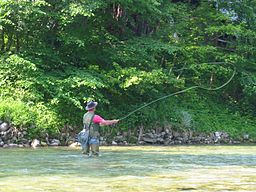 Man fly fishing