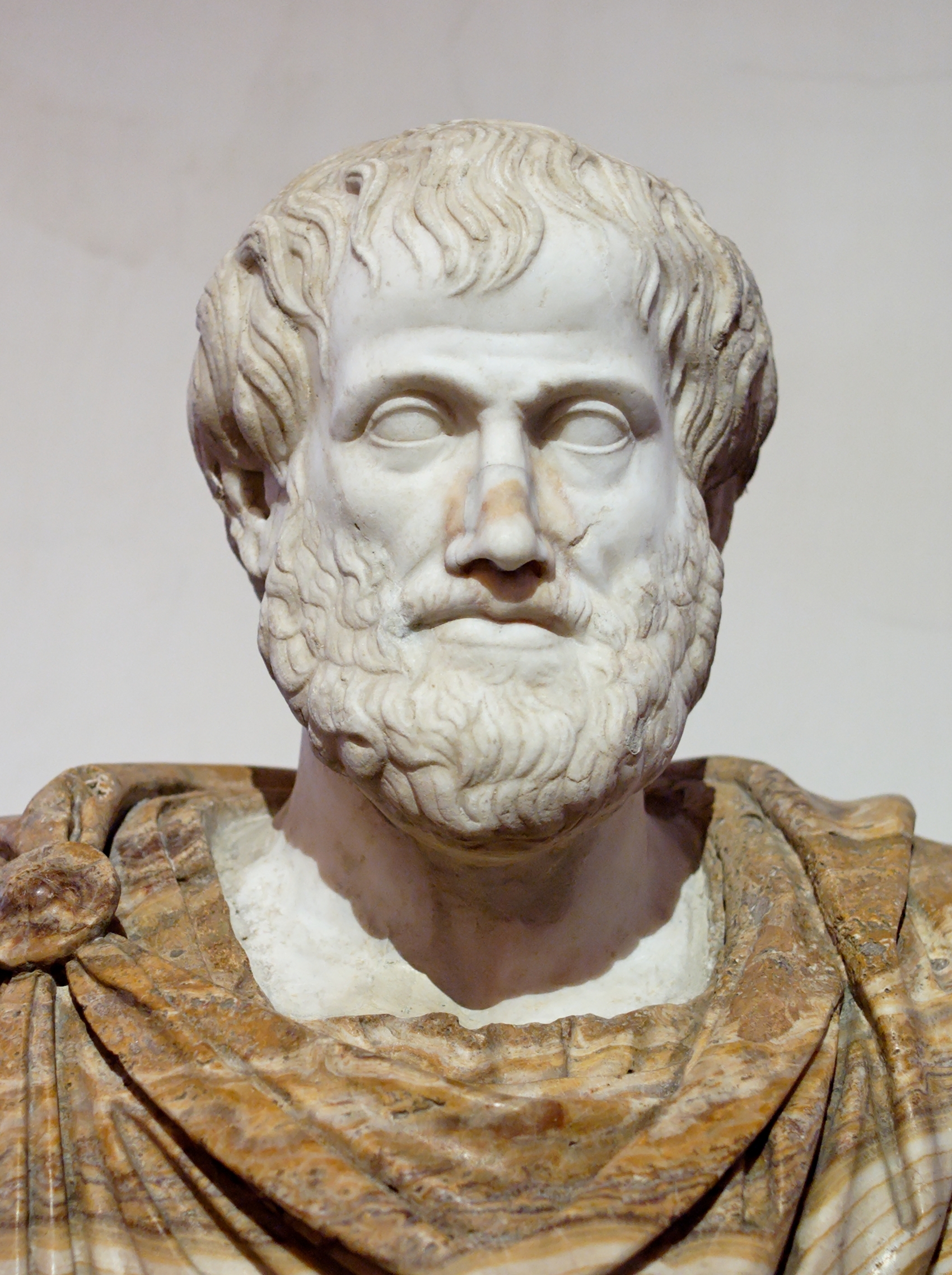 This image is a marble bust of the Greek philosopher Aristotle.