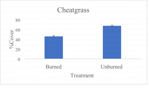 Fig. 1b: % Foliar cover estimates of cheatgrass (Bromus tectorum) based on % midpoint values derived from modified Daubenmire cover class method, across burned and unburned treatments at DFNWR. Error bars are based on standard error values.