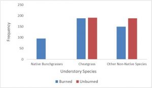 Fig. 2: Understory species frequency for native bunchgrasses, cheatgrass (Bromus tectorum), and other non-native species in burned unburned sites at DFNWR.
